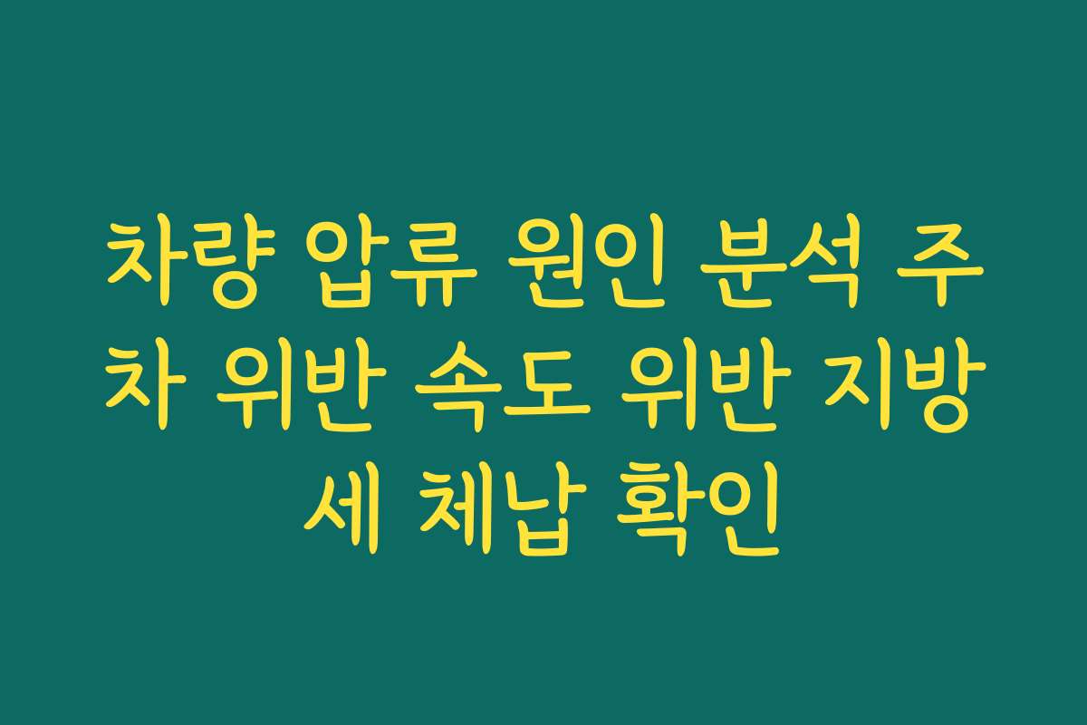 차량 압류 원인 분석 주차 위반 속도 위반 지방세 체납 확인