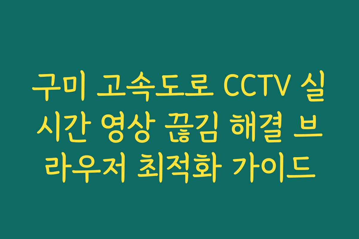 구미 고속도로 CCTV 실시간 영상 끊김 해결 브라우저 최적화 가이드