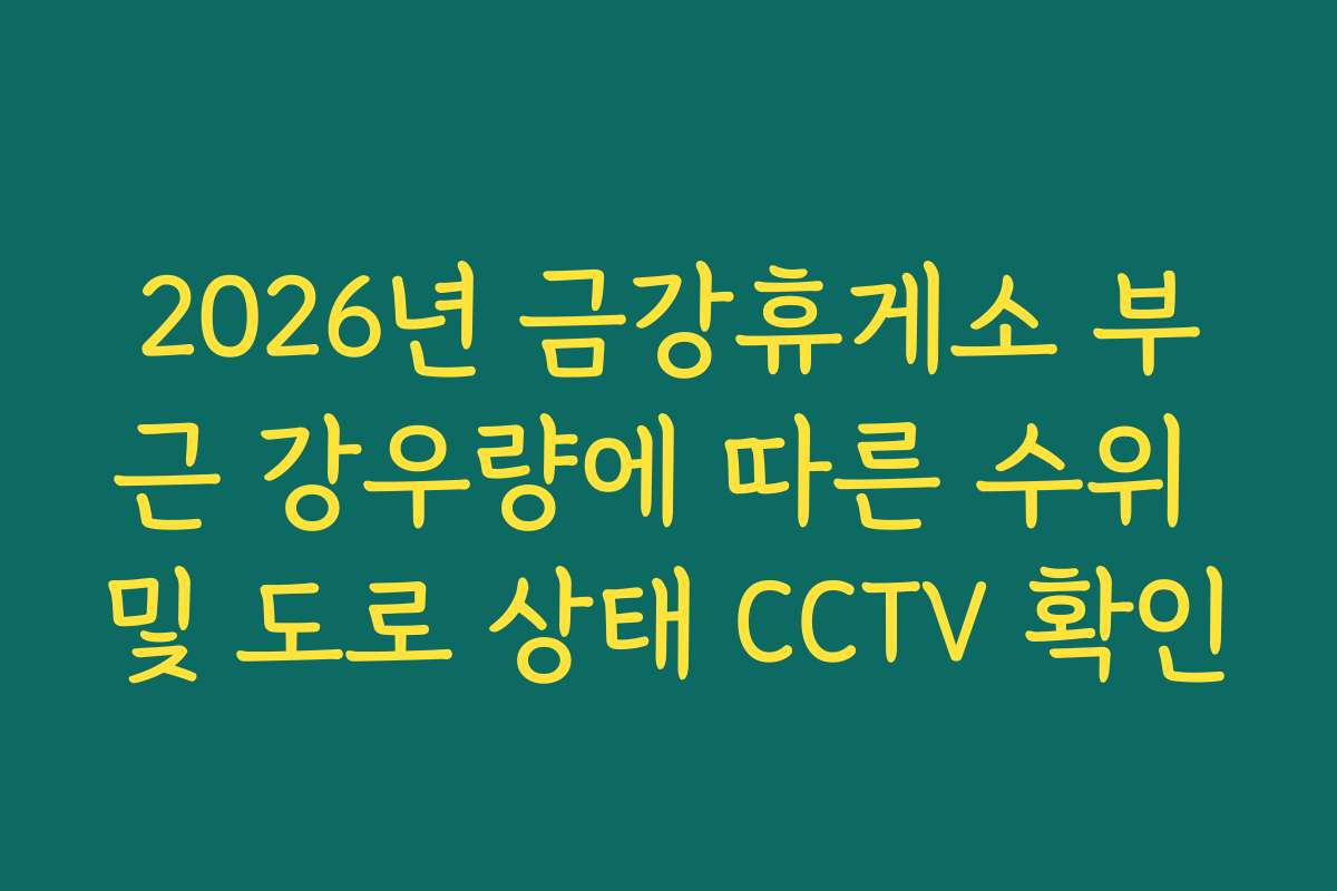 2026년 금강휴게소 부근 강우량에 따른 수위 및 도로 상태 CCTV 확인