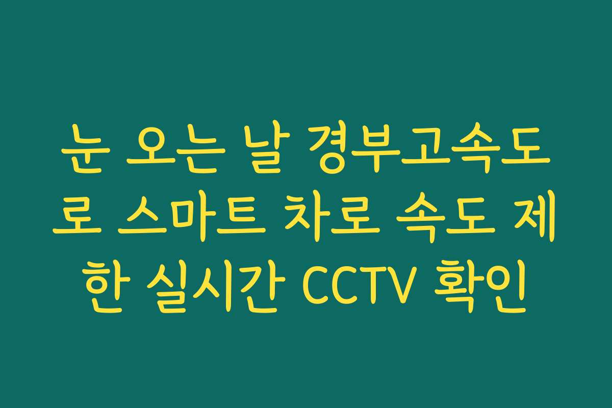 눈 오는 날 경부고속도로 스마트 차로 속도 제한 실시간 CCTV 확인