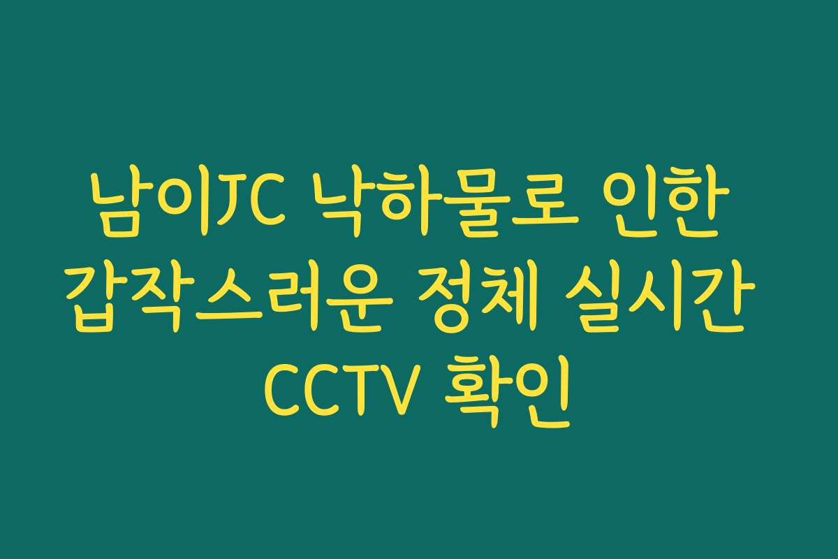 남이JC 낙하물로 인한 갑작스러운 정체 실시간 CCTV 확인