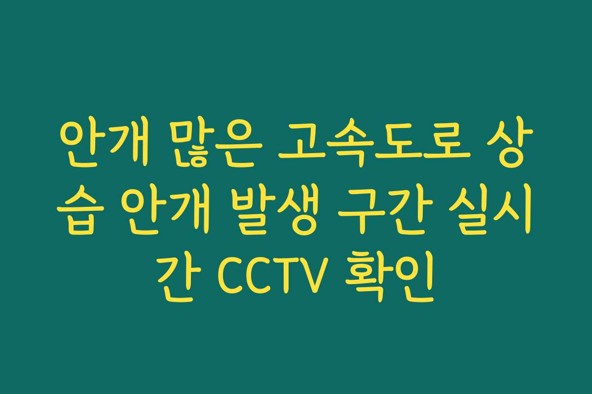 안개 많은 고속도로 상습 안개 발생 구간 실시간 CCTV 확인