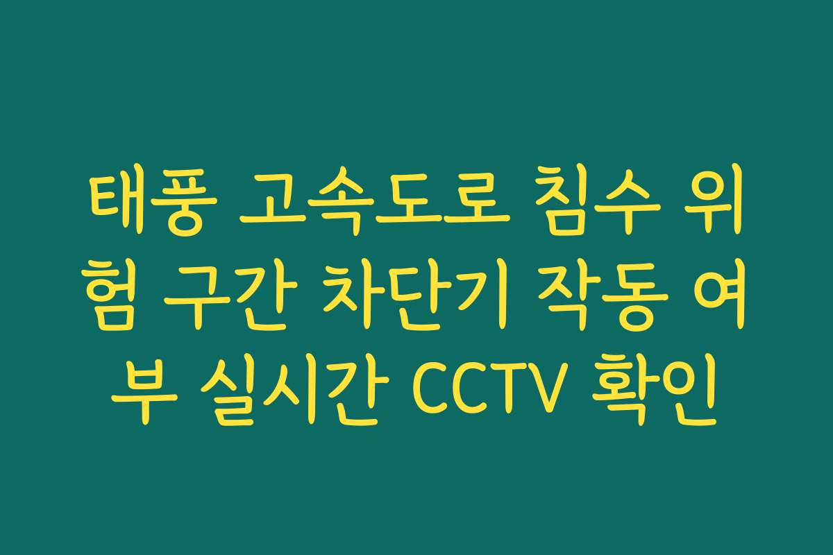 태풍 고속도로 침수 위험 구간 차단기 작동 여부 실시간 CCTV 확인