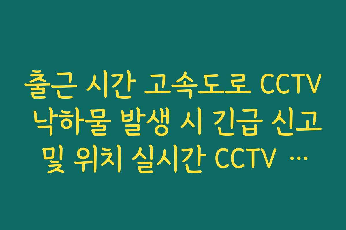 출근 시간 고속도로 CCTV 낙하물 발생 시 긴급 신고 및 위치 실시간 CCTV 확인