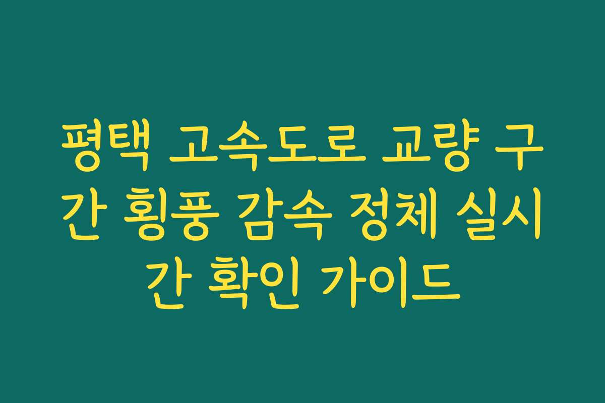 평택 고속도로 교량 구간 횡풍 감속 정체 실시간 확인 가이드