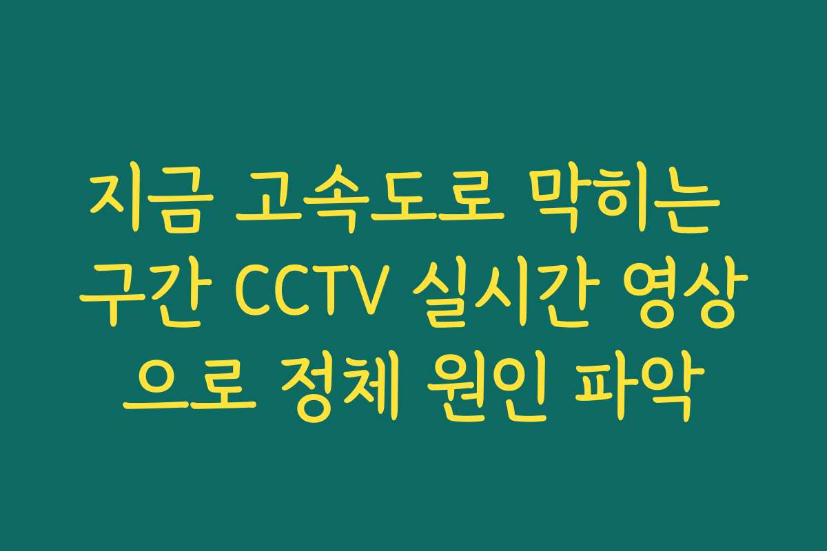 지금 고속도로 막히는 구간 CCTV 실시간 영상으로 정체 원인 파악