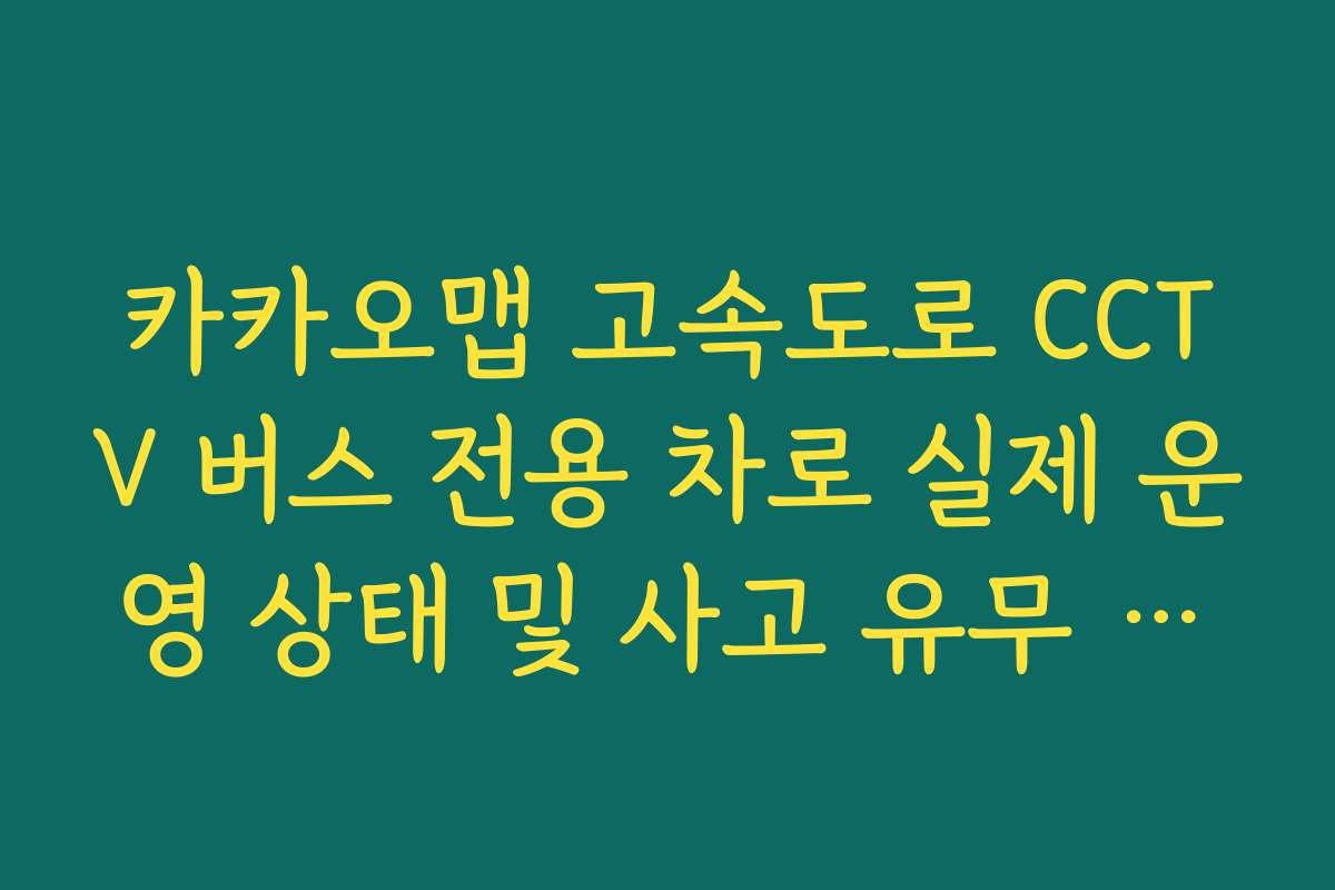 카카오맵 고속도로 CCTV 버스 전용 차로 실제 운영 상태 및 사고 유무 체크