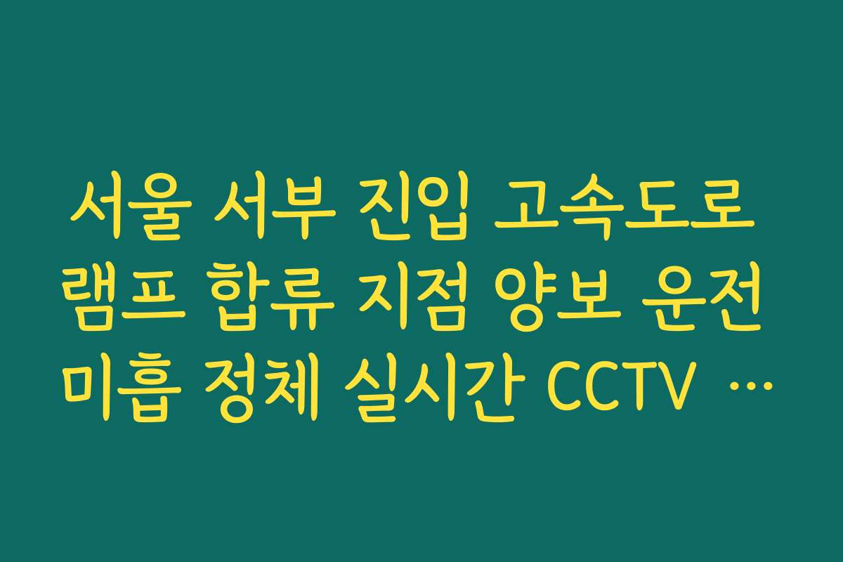 서울 서부 진입 고속도로 램프 합류 지점 양보 운전 미흡 정체 실시간 CCTV 확인
