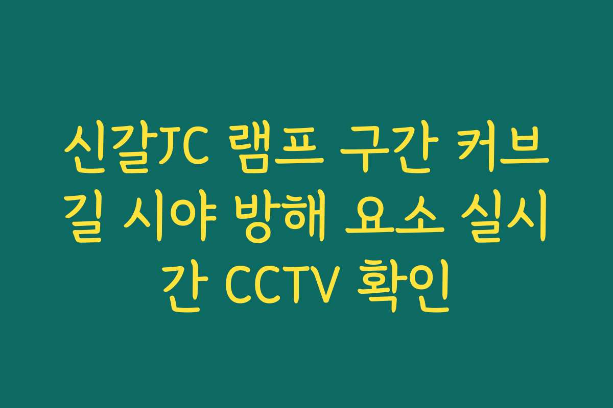 신갈JC 램프 구간 커브길 시야 방해 요소 실시간 CCTV 확인