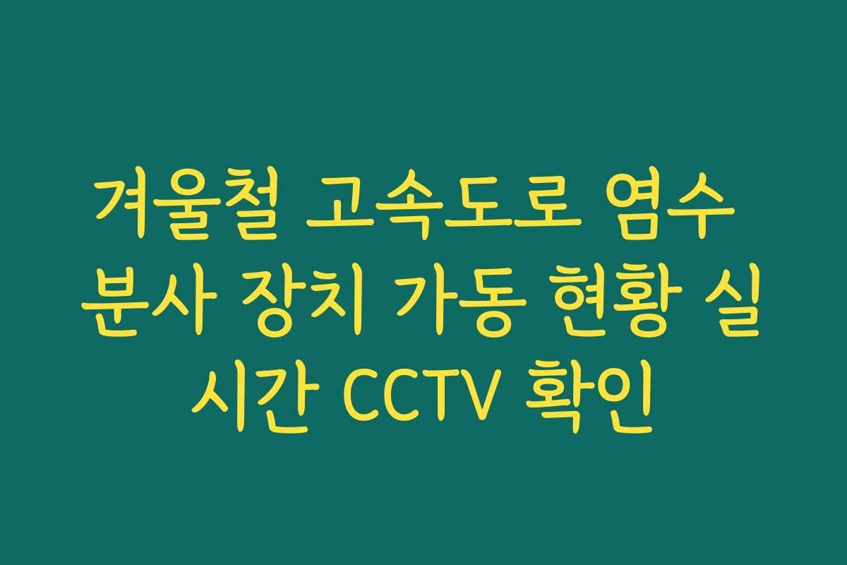 겨울철 고속도로 염수 분사 장치 가동 현황 실시간 CCTV 확인
