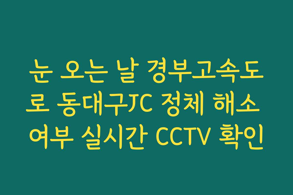 눈 오는 날 경부고속도로 동대구JC 정체 해소 여부 실시간 CCTV 확인