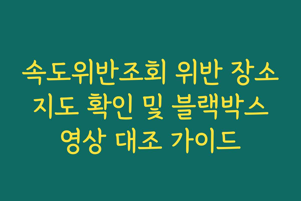 속도위반조회 위반 장소 지도 확인 및 블랙박스 영상 대조 가이드