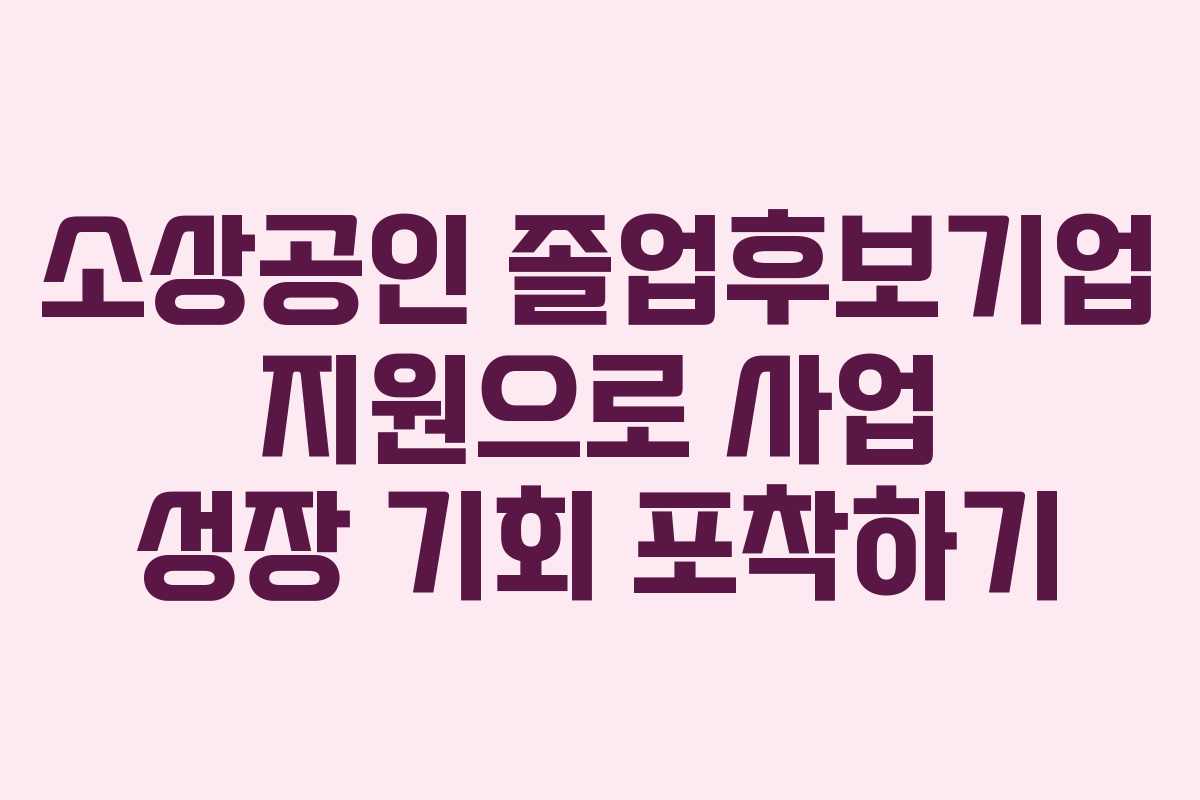 소상공인 졸업후보기업 지원으로 사업 성장 기회 포착하기