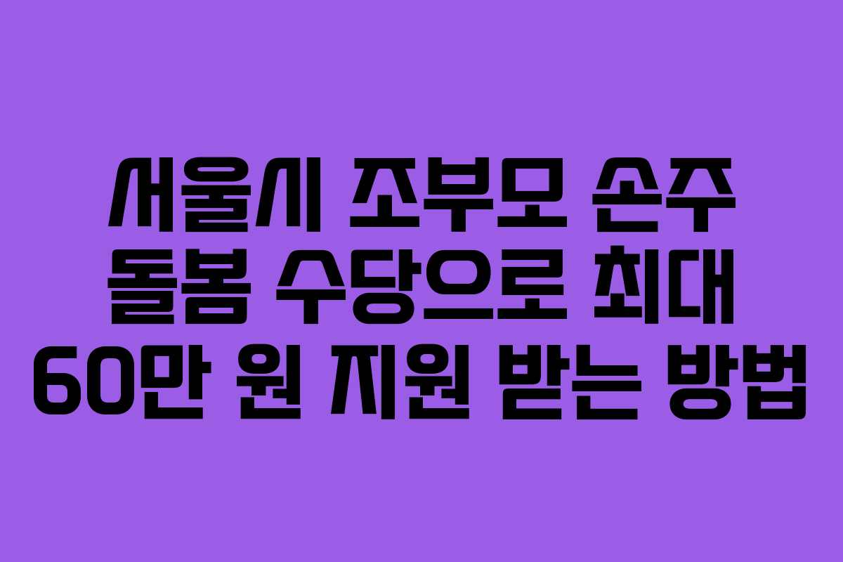 서울시 조부모 손주 돌봄 수당으로 최대 60만 원 지원 받는 방법