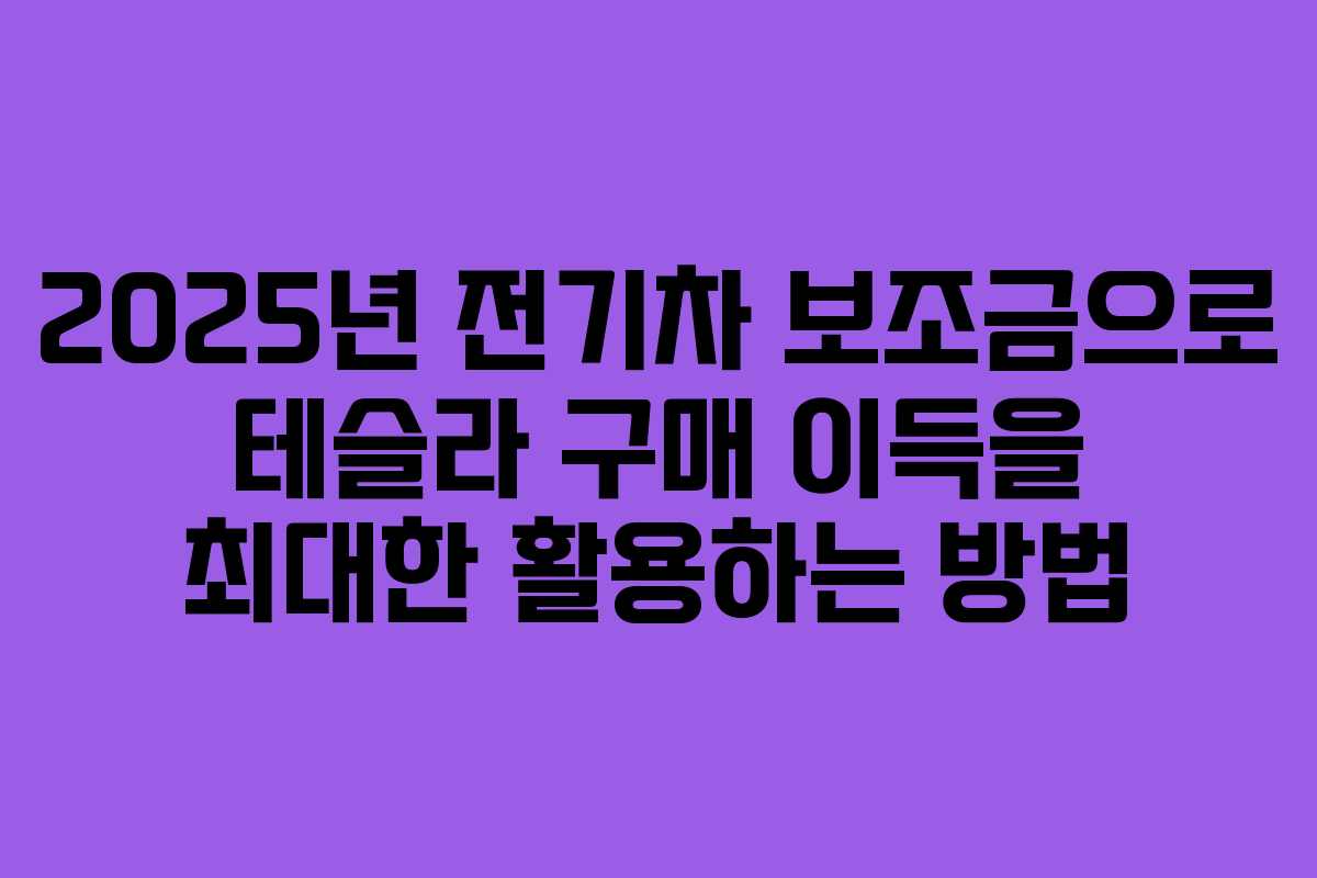 2025년 전기차 보조금으로 테슬라 구매 이득을 최대한 활용하는 방법