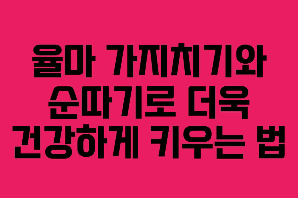 율마 가지치기와 순따기로 더욱 건강하게 키우는 법