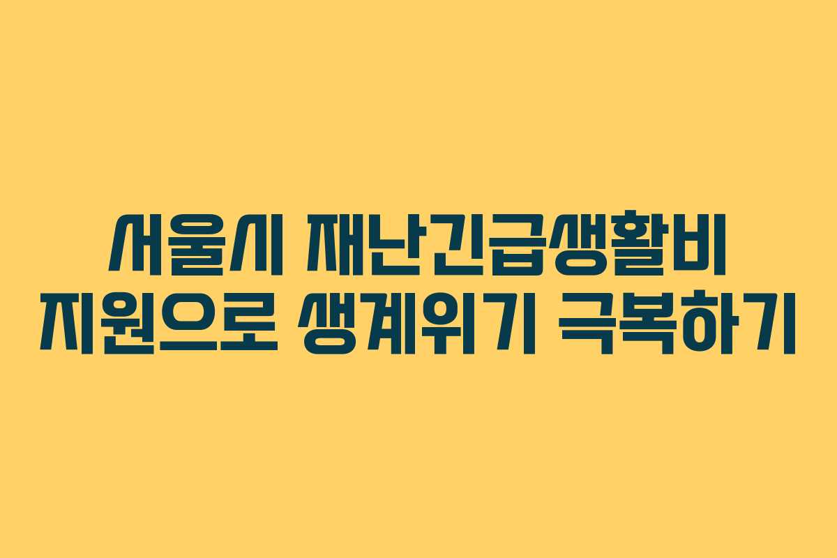 서울시 재난긴급생활비 지원으로 생계위기 극복하기