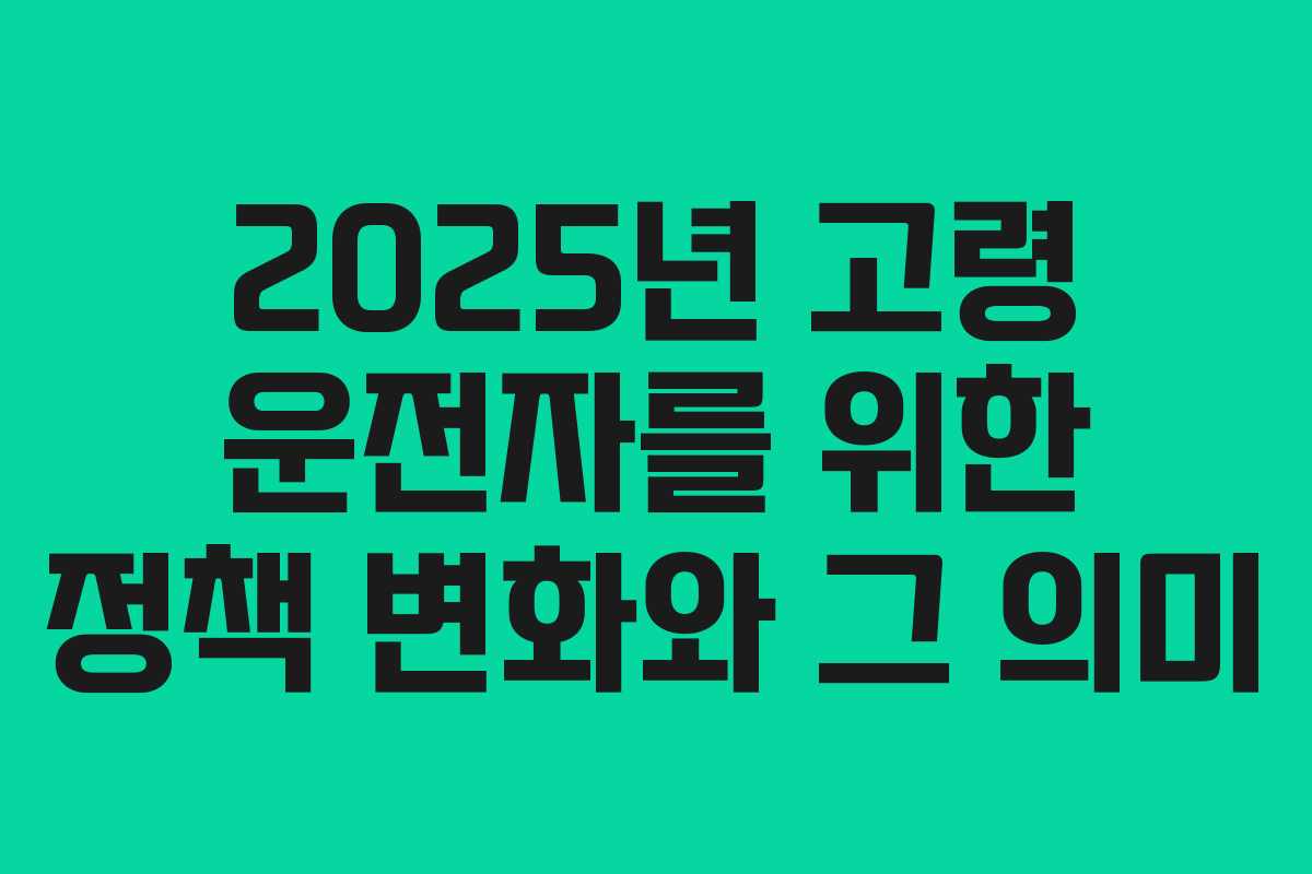 2025년 고령 운전자를 위한 정책 변화와 그 의미