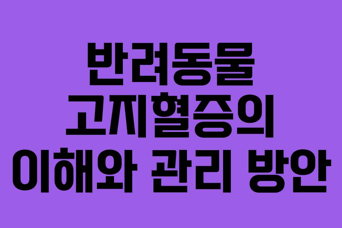 반려동물 고지혈증의 이해와 관리 방안