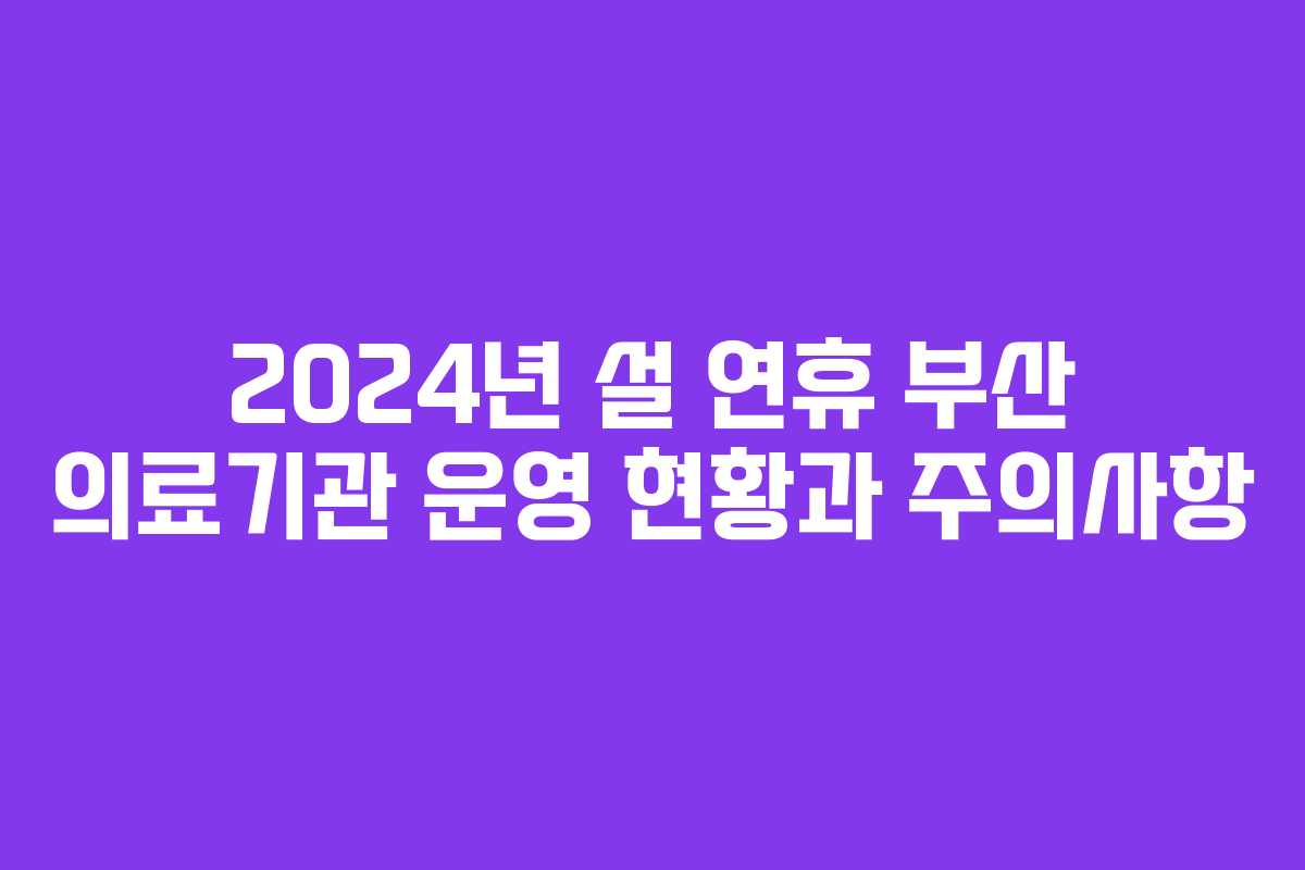 2024년 설 연휴 부산 의료기관 운영 현황과 주의사항