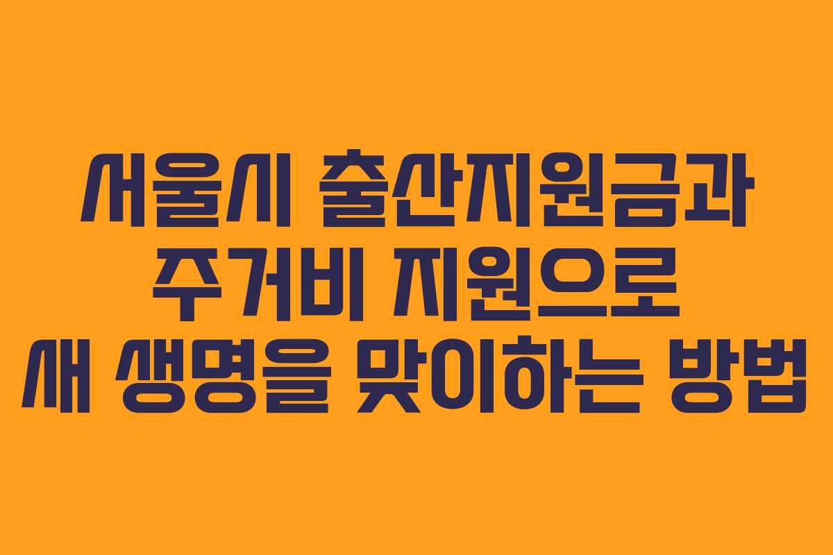 서울시 출산지원금과 주거비 지원으로 새 생명을 맞이하는 방법