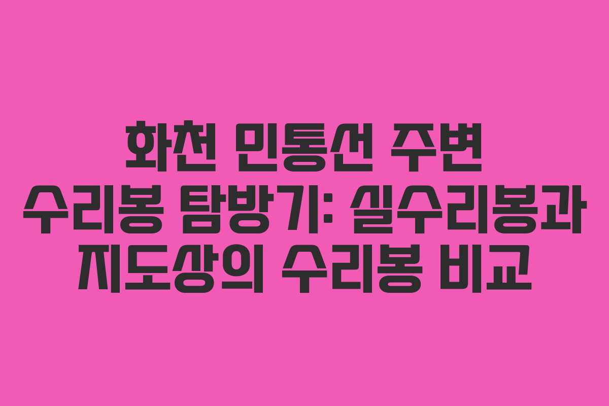 화천 민통선 주변 수리봉 탐방기: 실수리봉과 지도상의 수리봉 비교
