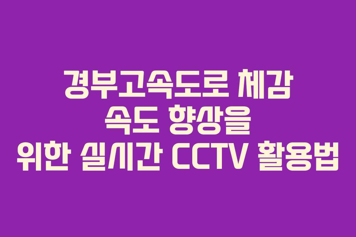 경부고속도로 체감 속도 향상을 위한 실시간 CCTV 활용법