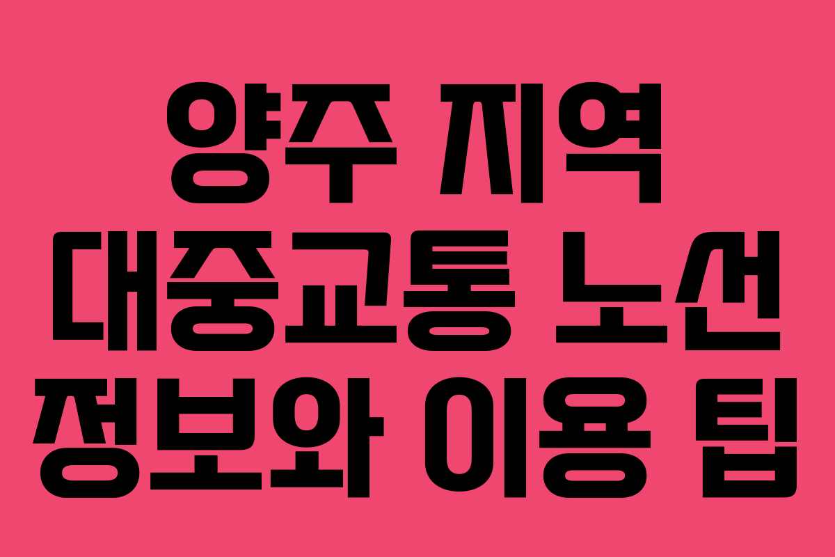 양주 지역 대중교통 노선 정보와 이용 팁