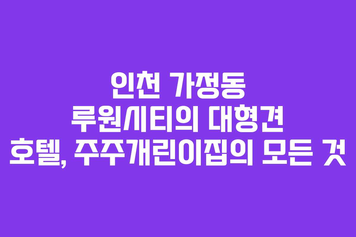 인천 가정동 루원시티의 대형견 호텔, 주주개린이집의 모든 것
