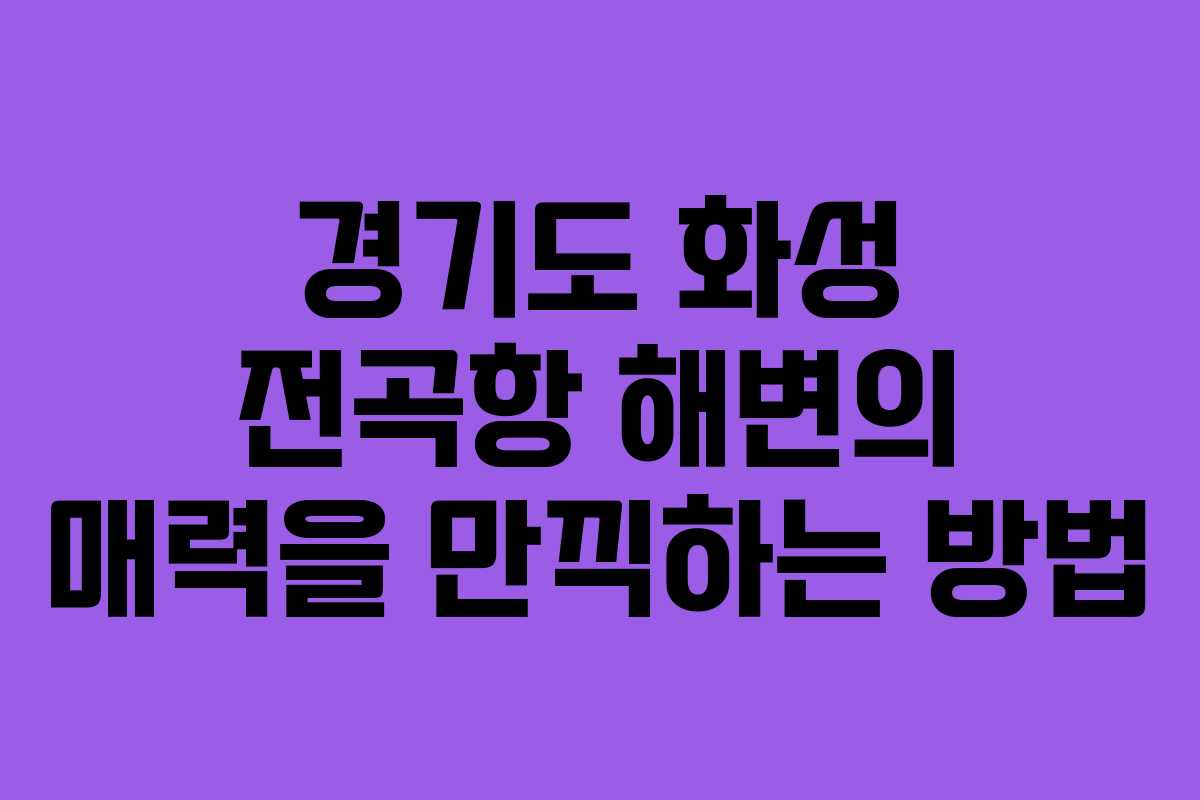 경기도 화성 전곡항 해변의 매력을 만끽하는 방법