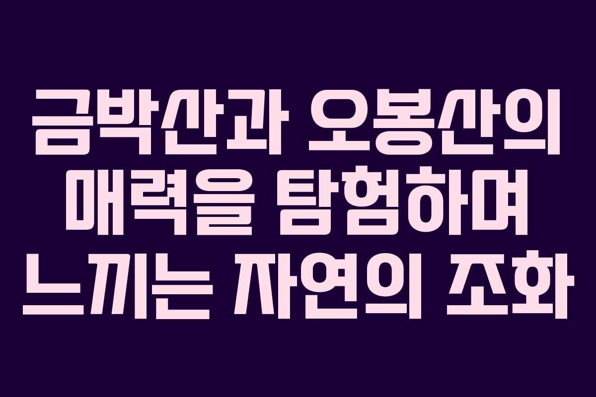 금박산과 오봉산의 매력을 탐험하며 느끼는 자연의 조화