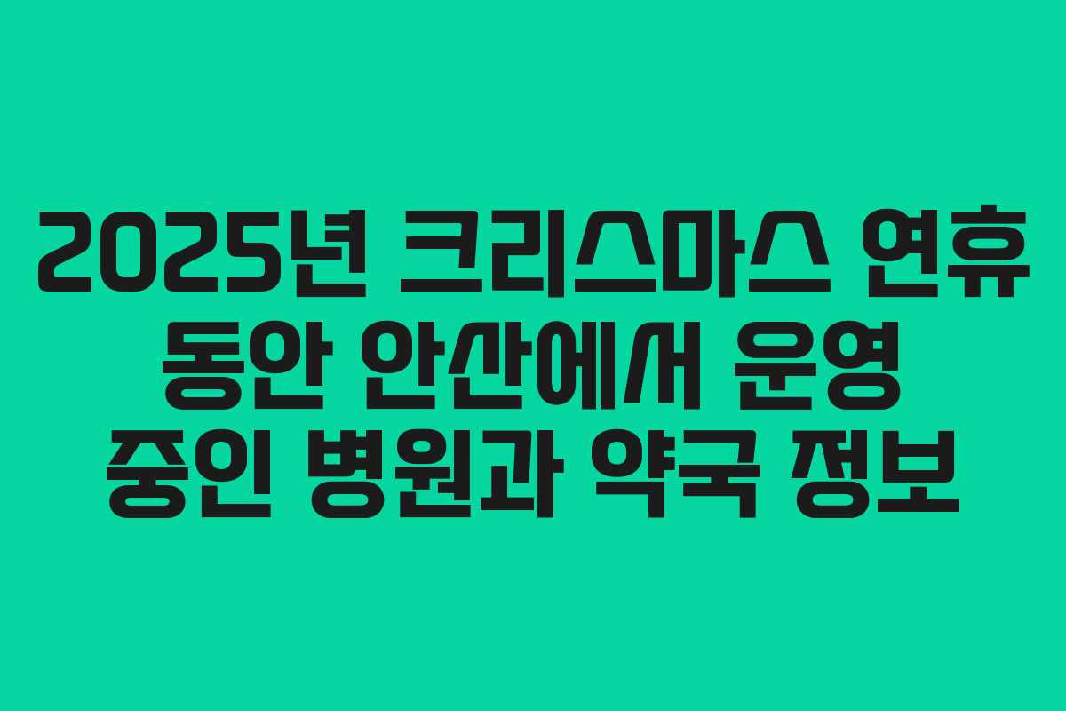 2025년 크리스마스 연휴 동안 안산에서 운영 중인 병원과 약국 정보