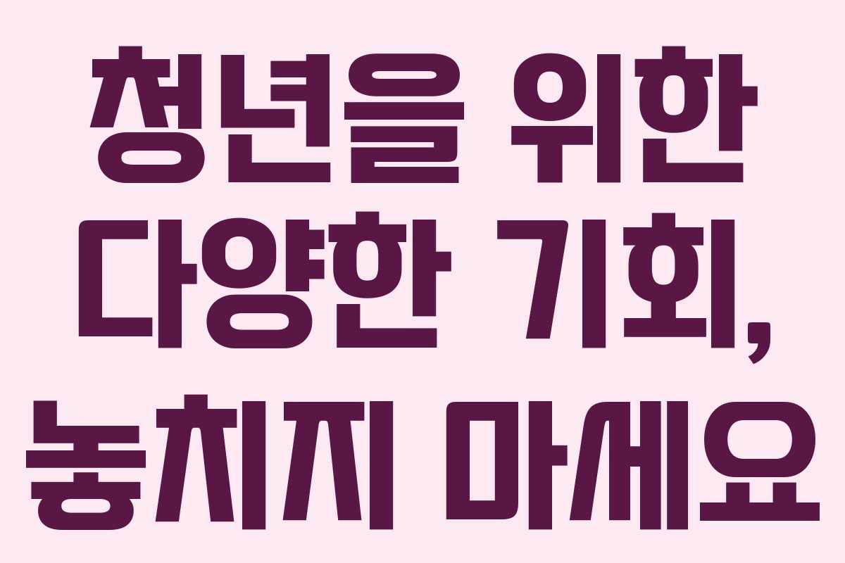 청년을 위한 다양한 기회, 놓치지 마세요