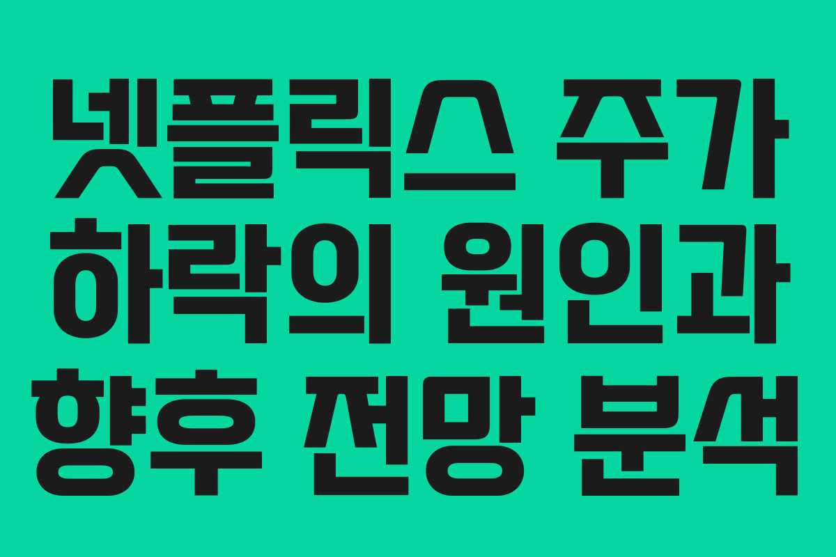넷플릭스 주가 하락의 원인과 향후 전망 분석
