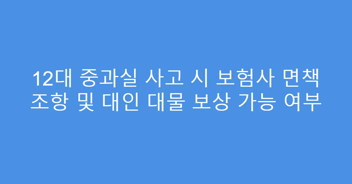 12대 중과실 사고 시 보험사 면책 조항 및 대인 대물 보상 가능 여부