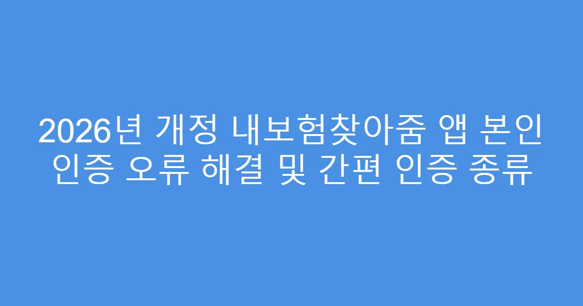 2026년 개정 내보험찾아줌 앱 본인 인증 오류 해결 및 간편 인증 종류