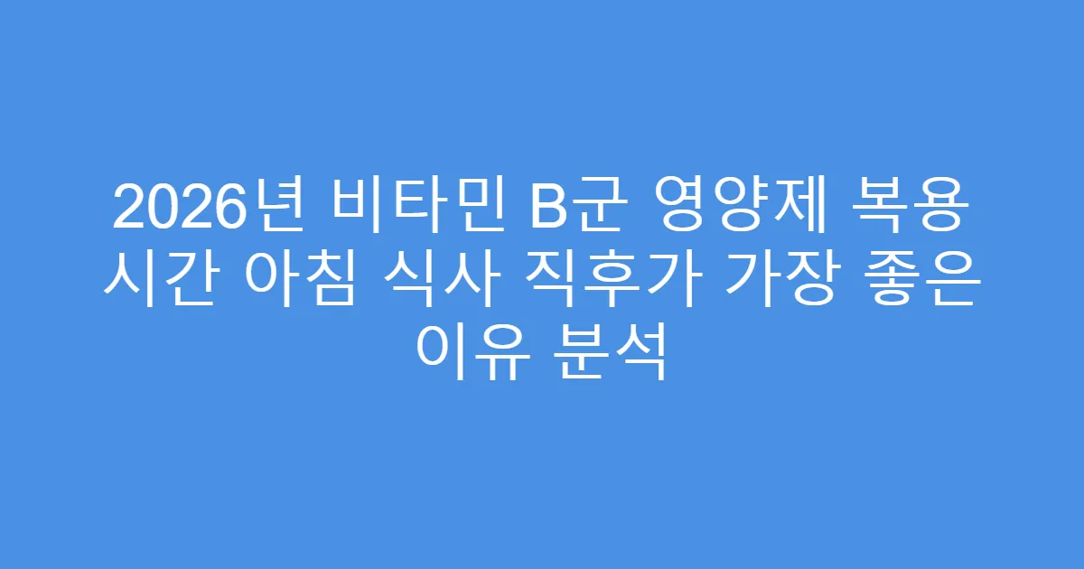 2026년 비타민 B군 영양제 복용 시간 아침 식사 직후가 가장 좋은 이유 분석