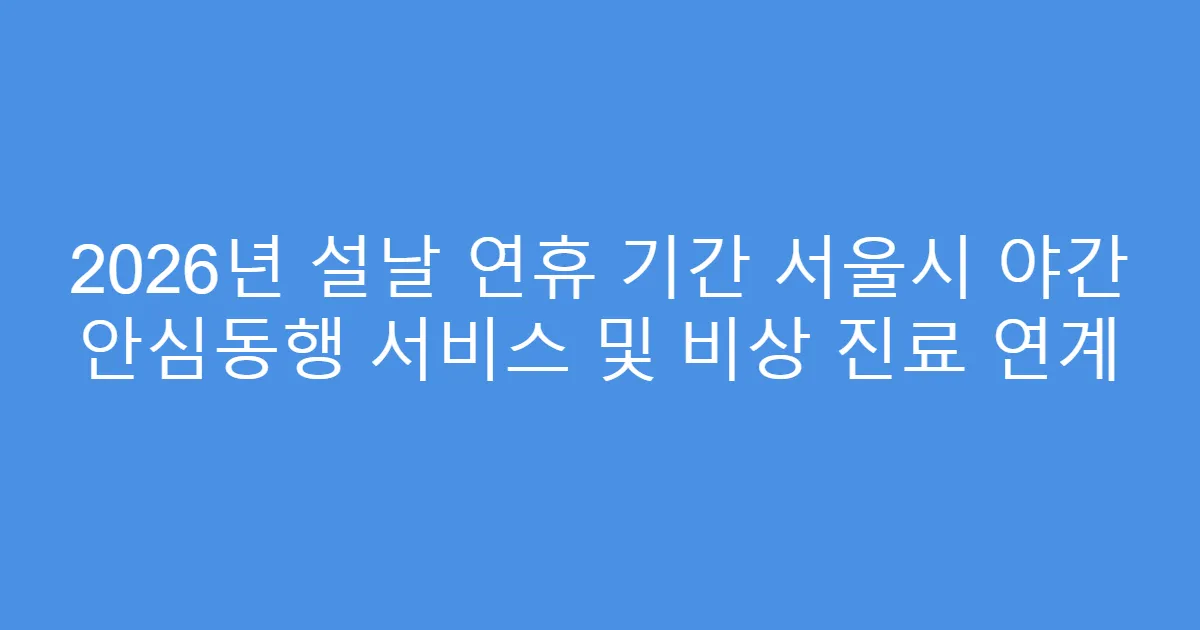 2026년 설날 연휴 기간 서울시 야간 안심동행 서비스 및 비상 진료 연계