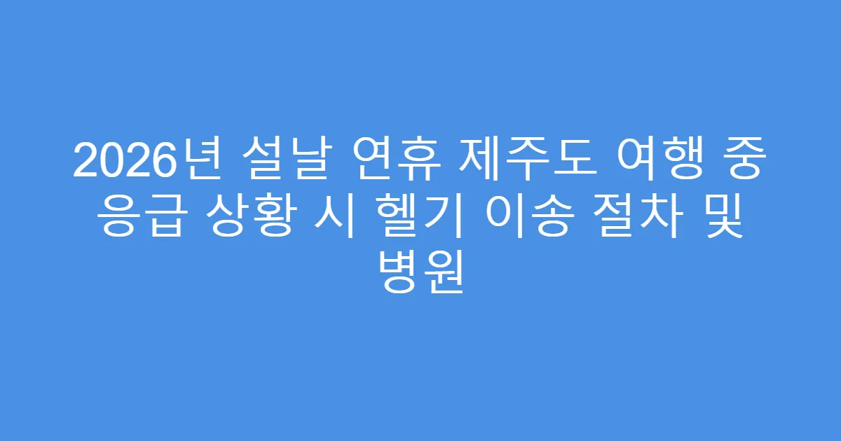2026년 설날 연휴 제주도 여행 중 응급 상황 시 헬기 이송 절차 및 병원
