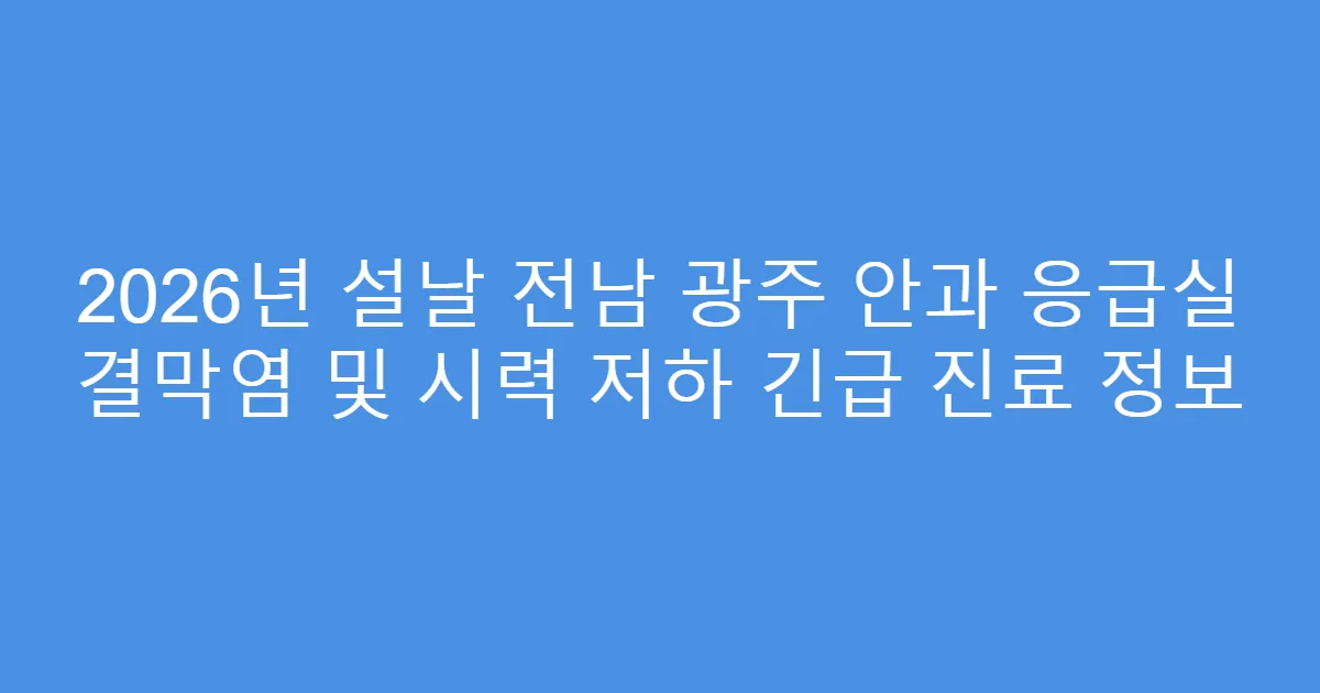 2026년 설날 전남 광주 안과 응급실 결막염 및 시력 저하 긴급 진료 정보