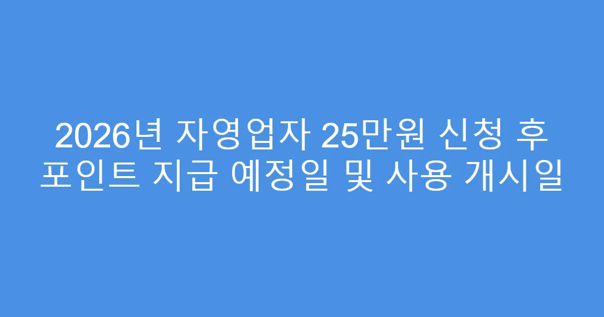 2026년 자영업자 25만원 신청 후 포인트 지급 예정일 및 사용 개시일