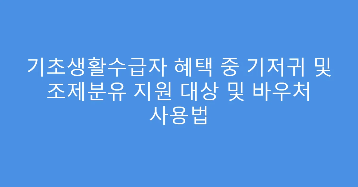 기초생활수급자 혜택 중 기저귀 및 조제분유 지원 대상 및 바우처 사용법
