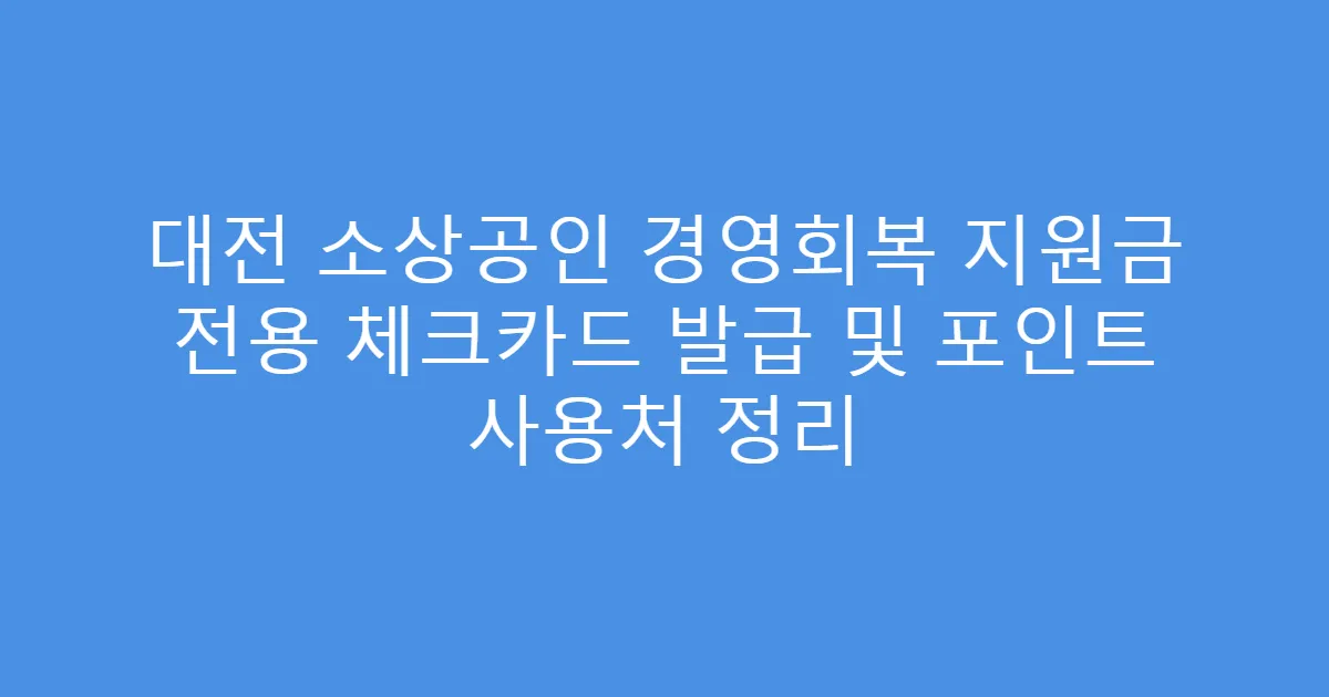 대전 소상공인 경영회복 지원금 전용 체크카드 발급 및 포인트 사용처 정리