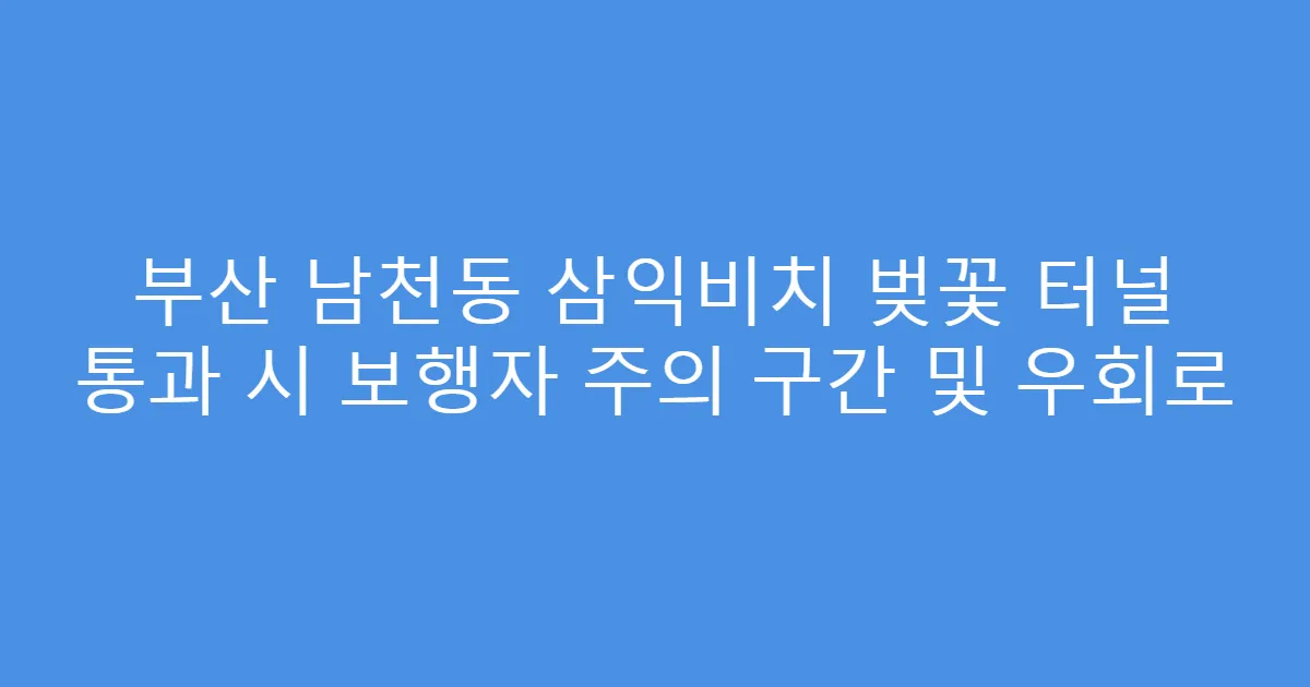 부산 남천동 삼익비치 벚꽃 터널 통과 시 보행자 주의 구간 및 우회로