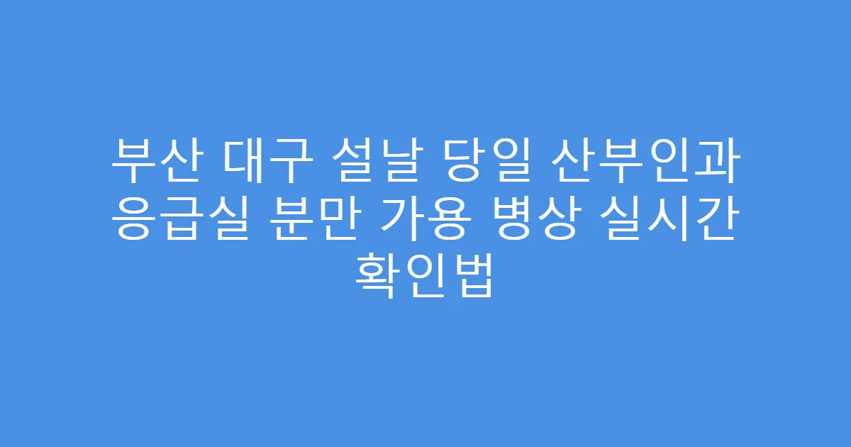 부산 대구 설날 당일 산부인과 응급실 분만 가용 병상 실시간 확인법