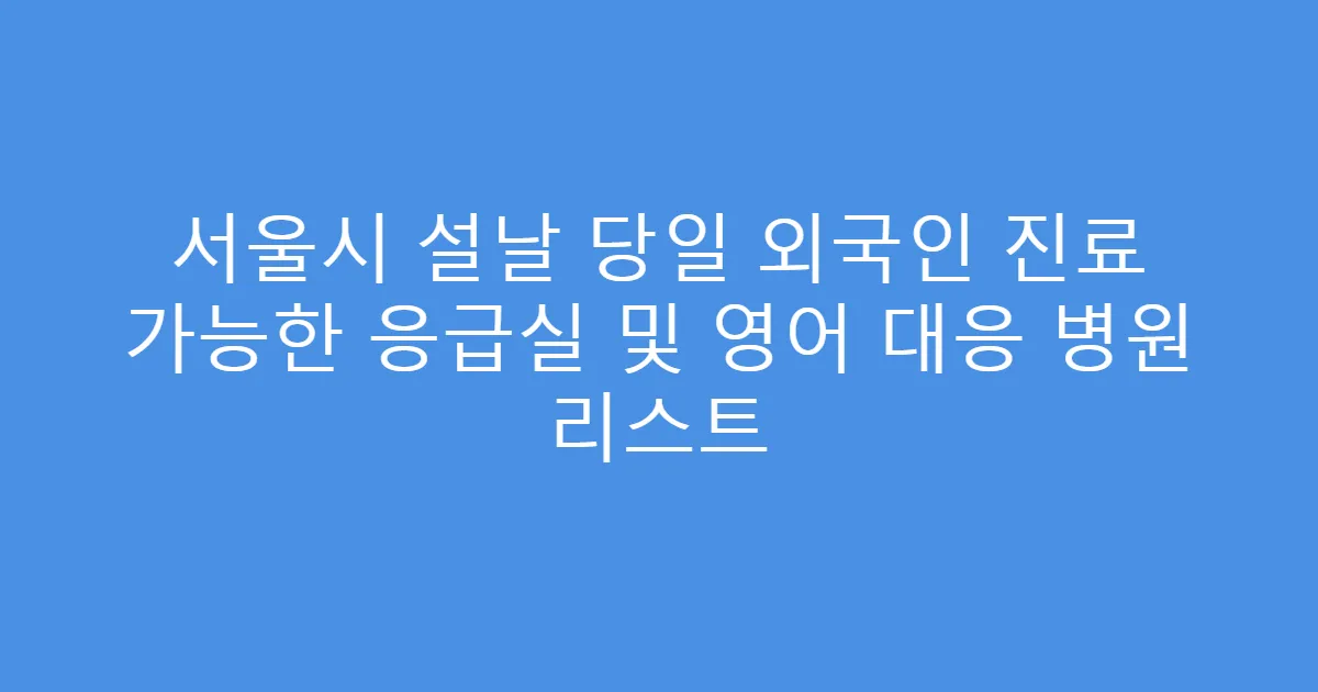 서울시 설날 당일 외국인 진료 가능한 응급실 및 영어 대응 병원 리스트