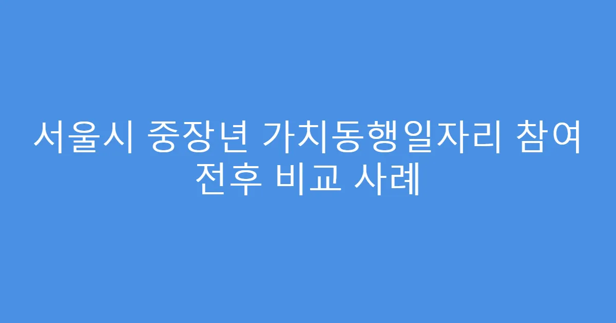 서울시 중장년 가치동행일자리 참여 전후 비교 사례