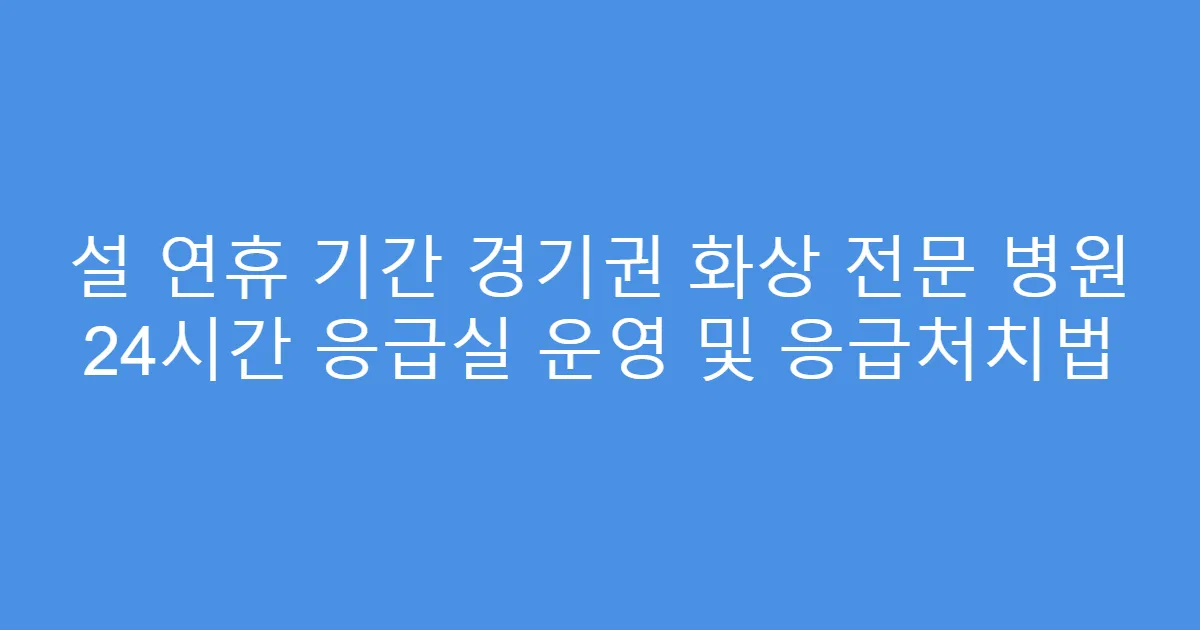 설 연휴 기간 경기권 화상 전문 병원 24시간 응급실 운영 및 응급처치법