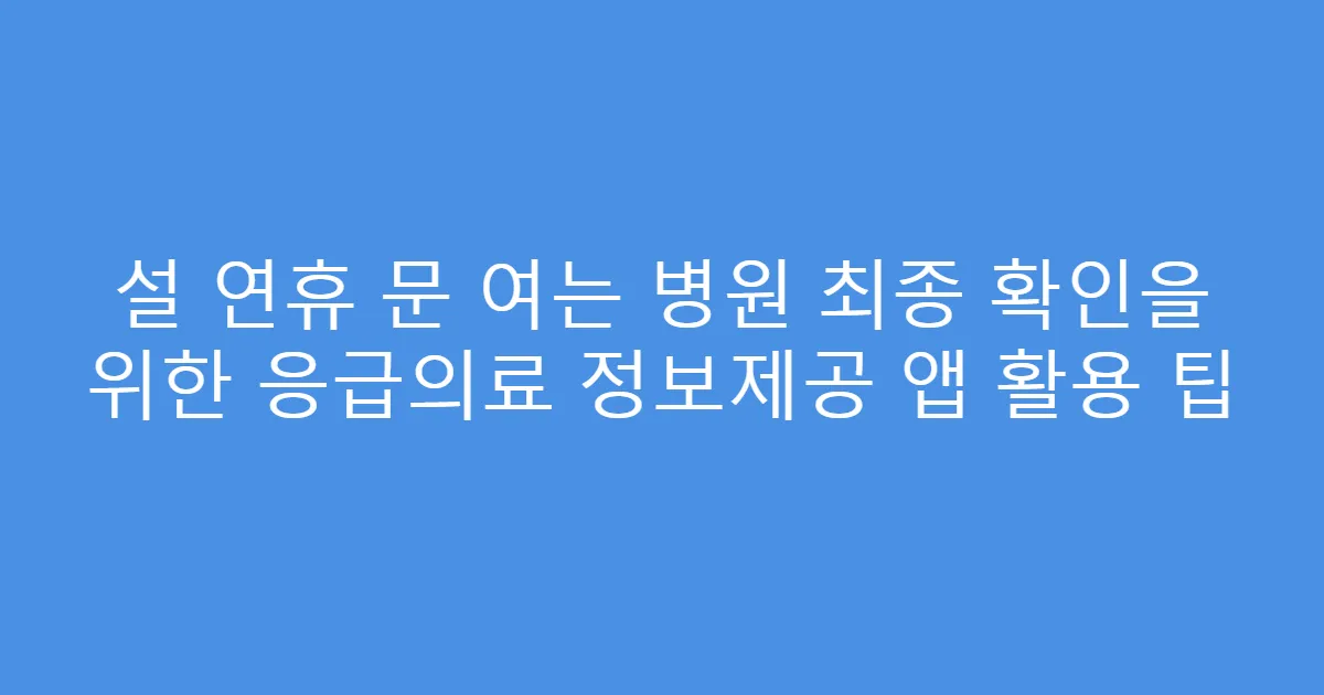 설 연휴 문 여는 병원 최종 확인을 위한 응급의료 정보제공 앱 활용 팁