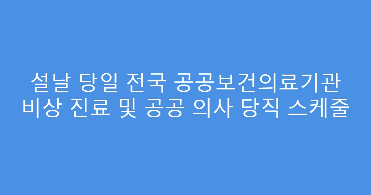 설날 당일 전국 공공보건의료기관 비상 진료 및 공공 의사 당직 스케줄